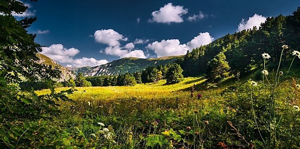 Фотоальбом